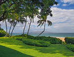view from lawn